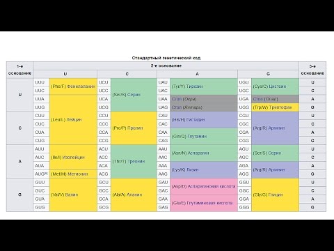 Основы нашей уверенности. О чём не знал Дарвин?