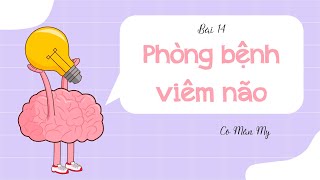 Bài 14 Phòng Bệnh Viêm Não - Khoa Học 5 - Olmvn