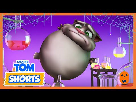 Crazy Potion Chaos! 🧪 - Talking Tom Shorts | Kids Cartoons | WildBrain Circus