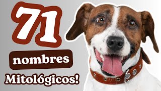 71 DOG NAMES INSPIRED BY MYTHOLOGY With meaning