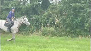 AD ref 258430 Video 4