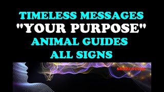 Timeless Messages: How to find Your Purpose/Destiny - Animal Guidance - All Signs screenshot 2