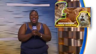 State Fair Experience Day 12 Session 71