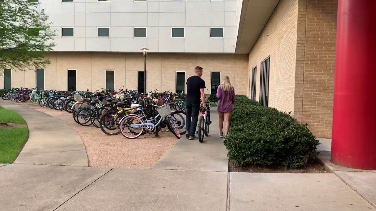 Chicken Cutlet Sandwich and Some Wings YouTube