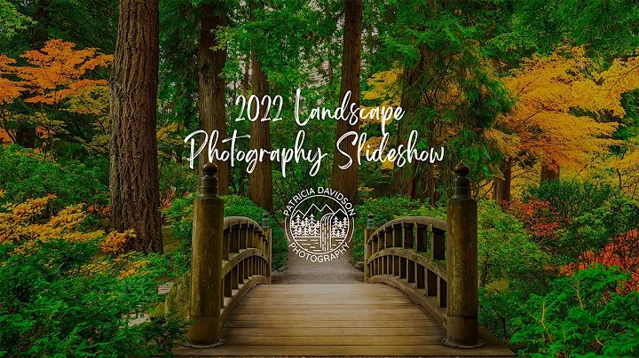 Patricia Davidson Photography || Landscape Photogr...