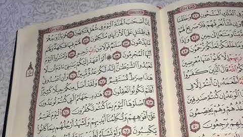 اليوم السادس من حفظ سوره يس الايات من 72:61|#سوره_يس