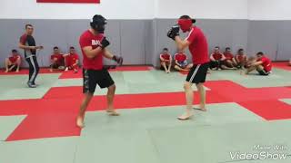 Dadaş Mma Türk Dövüş Sanatları