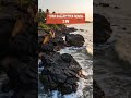 Konkan Plot Investment Opportunity | Best Farming & Bungalow Land in Konkan | R.S. Realty