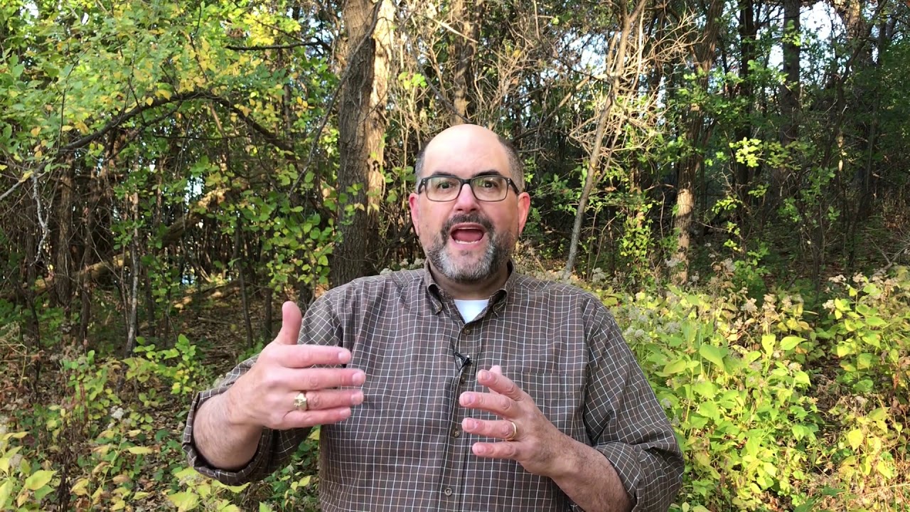 The Elements Of Moral Action YouTube