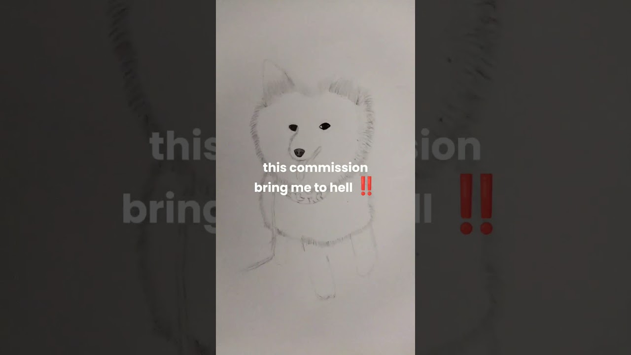 Obejrzyj skrill is scam #commission #draw #sketch #scam #dog #pet #fyp #foryou w YouTube Obejrzyj skrill is scam #commission #draw #sketch #scam #dog #pet #fyp #foryou w YouTube