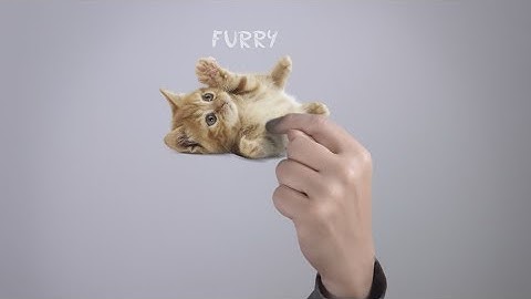 HAP2U Feel what’s on your screen!