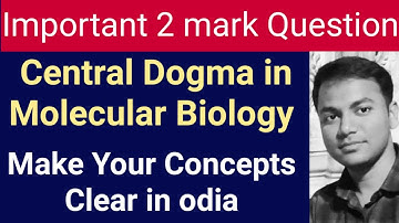 Central Dogma in Molecular Biology || CHSE CBSE Odia || DNA RNA PROTEIN || Transcription Translation