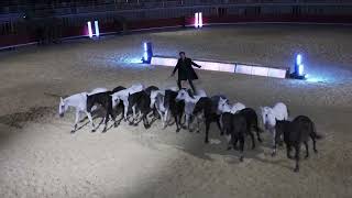 Lorenzo A Lunel 2026
