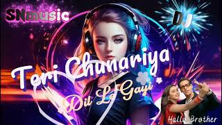 Teri Chunariya Dil Le Gayi Remix  Matal Dance  Hallo Brother  Salman Khan  Sn