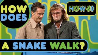 HOW 60: EP15: How Does a Snake Walk..