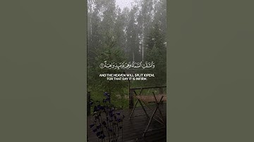 #ياسر_الدوسري #اكسبلور #القرآن_الكريم #دويتو #لايك #القارئ_ياسر_الدوسري #راحة_نفسية #شاشه_سوداء