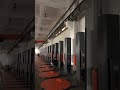 MQSPACK factory’s visiting #packing #automation #wrapping