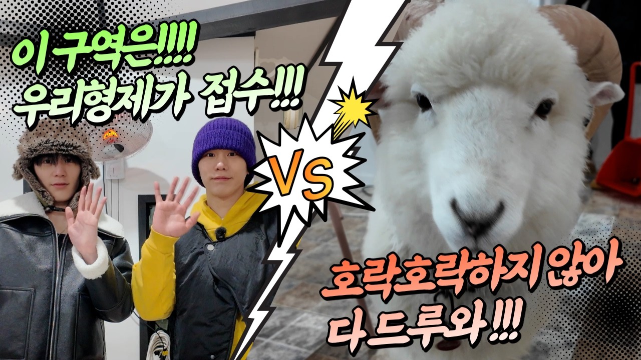 목장 체험 갔다가 생존기 찍고 옴