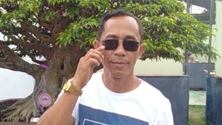 Bonsai Ciamis Tembus Juara