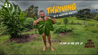 THRIVING IN A SURVIVAL GARDEN - A Day in the Life