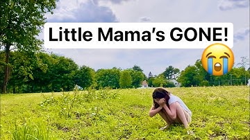 Dad cut the silks, Little Mama LEFT!!😨