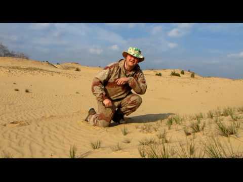 Видео: Най-нередовната пустиня в района на Воронеж - Алтернативен изглед