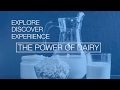 Dairy forum 2020 the power of dairy  idfa