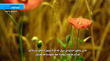 أروع التلاوات - محمد اللحيدان - تراويح 1436 - مَّثَلُ الَّذِينَ يُنفِقُونَ أَمْوَالَهُمْ