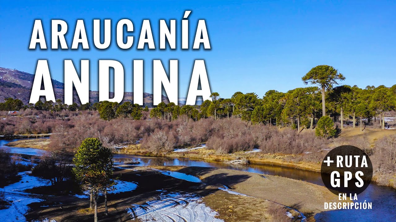 Araucanía Andina desde el aire - Lonquimay 🇨🇱