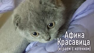 Красавица Афина. Играем с котенком. Внуки.Дети.Семья.