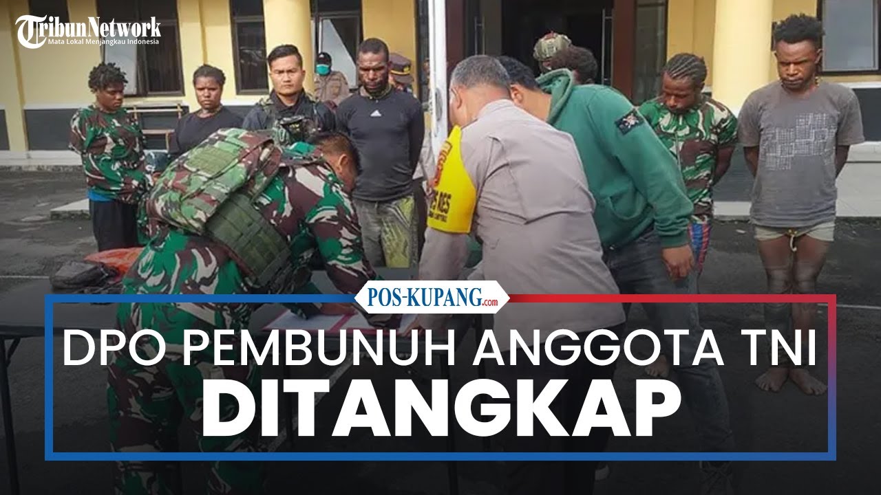 DPO Pembunuh Anggota TNI Ditangkap di Puncak Jaya