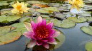 Download Lagu Coldplay - Life In Technicolor MP3