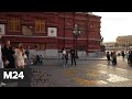 "Топ 5": самые интересные ворота в Москве - Москва 24