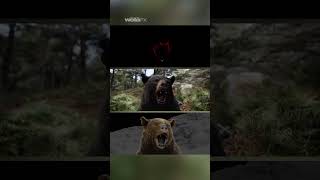 Distracted | Cocaine Bear | Wētā FX #vfxshorts  #vfx