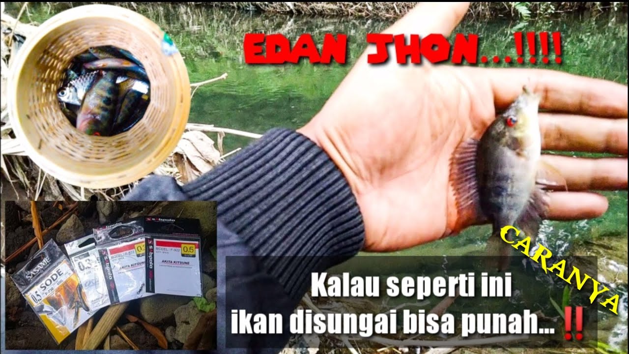 DI JAMIN STRIKE TERUS!! CARA TEPAT MEMILIH MATA KAIL UNTUK MANCING WADER DAN UCENG