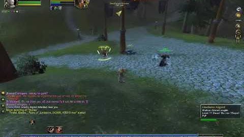 Dwarf Hunter vs BE Warlock: 2nd Battle