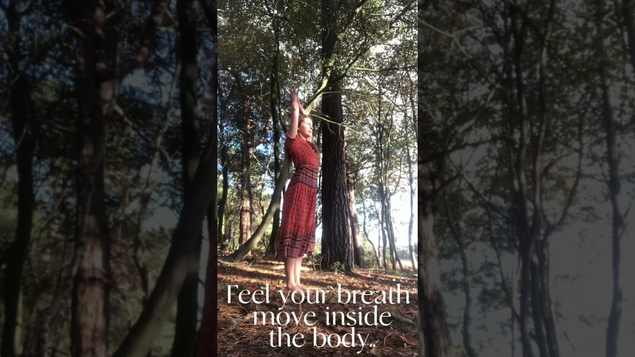 Drop into Presence in 20 Seconds 