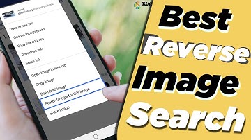 Best Reverse Image Search Apps For IPhone And Android