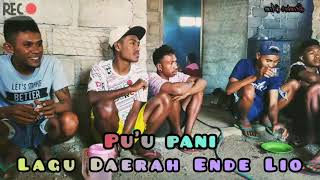 Pu'u pani lagu ende lio