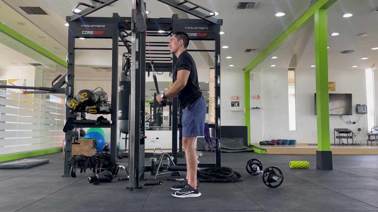 extensiones de triceps con cuerda en polea alta (tricep rope press down