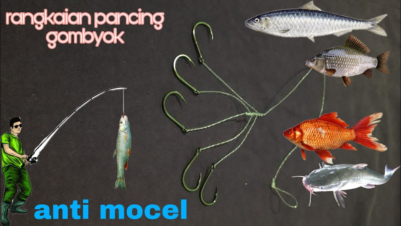 Cara buat rangkaian pancing gombyok/ombyok anti mocel