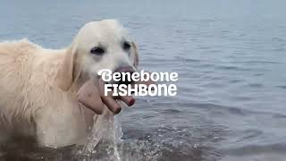 Benebone Fishbone Chew Toy for Dogs