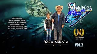 Mariposa Azul Vol 2 MUSICA MIXTECA "Kivi Kitaun Xin Yu" screenshot 1