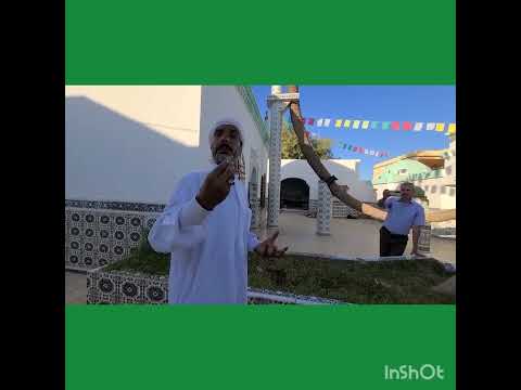 قصة النخلة لسيدي لخضر بن خلوف رحمه الله