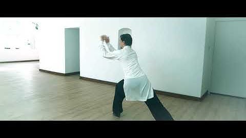 Wudang Tai Yi Wu Xing Quan - Five Element Form - Demonstration by Master Ziji