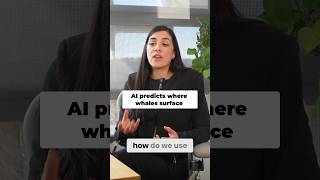 Scientists Use Machine Learning to Track Sperm Whales #Robotics #Ocean #Shorts
How do you find a whale when you don’t know where it is? Harvard SEAS faculty member Stephanie Gil explains how autonomous robots use AI, acoustic signals, tag data, and whale surfacing patterns to predict where sperm whales may come up next, so the robots can be in the right place at the right time. The goal: capture rare surface behavior and better understand how whales move, communicate, and interact.
#ai #WhaleWatching #MarineBiology #Robotics #AnimalBehavior #StephanieGil #HarvardSEAS #Robotics #AI #Whales #MachineLearning #YouTubeShorts Scientists Use Machine Learning to Track Sperm Whales #Robotics #Ocean #Shorts