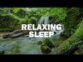 Tranquil Music for Immersive Nature Meditation | Meditation Music