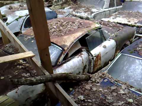 1957 Plymouth Fury on the Swiss Junkyard in Kaufdo...