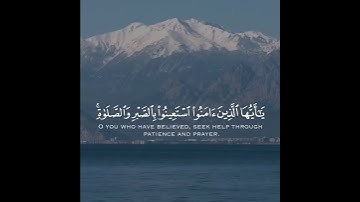 حالات واتس اب قرآن كريم بصوت جميل جدا 🍃♥️ تلاوة تريح القلب