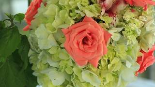 Cazados Servicios Integrales